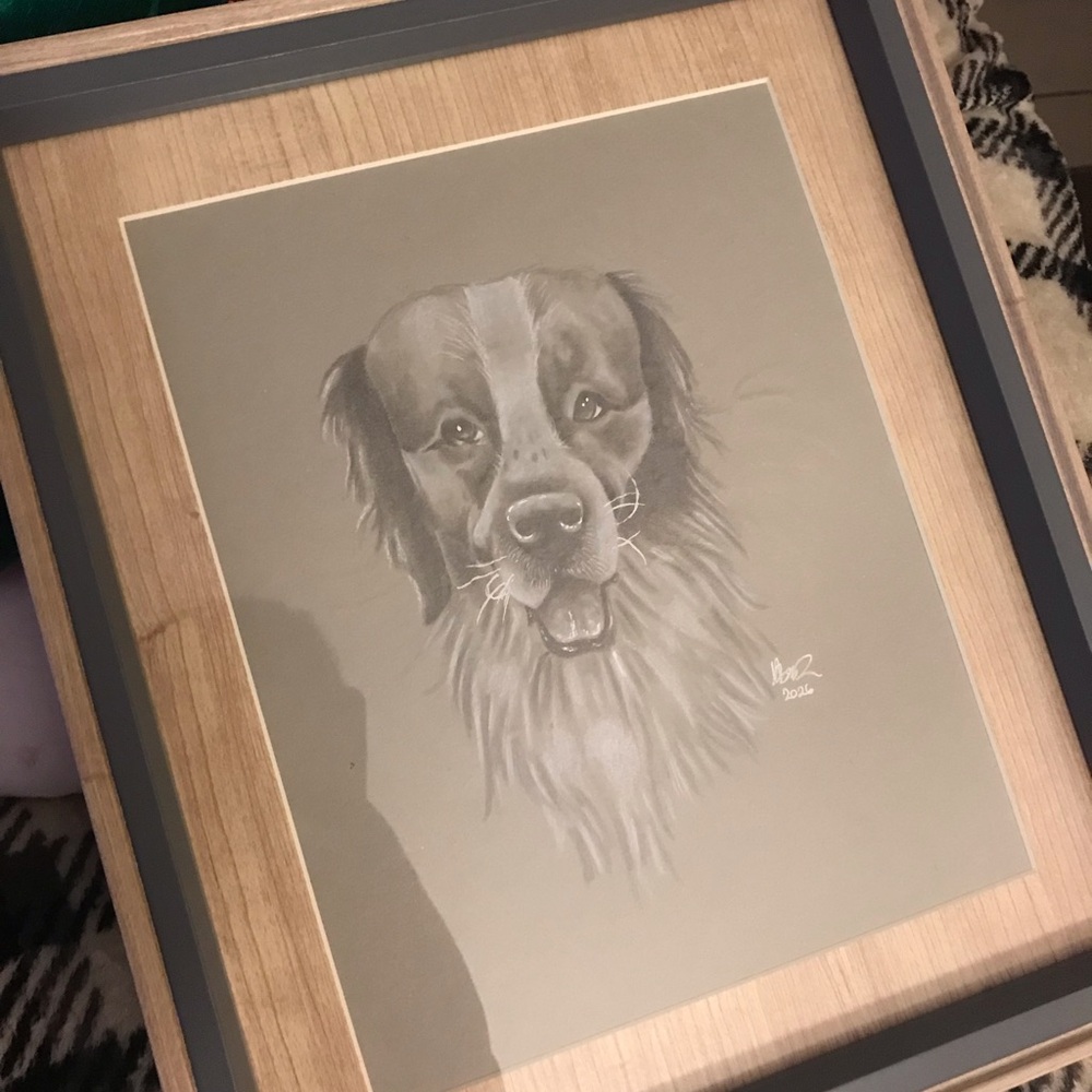 Custom Pet Portrait - Picture 3 of 3